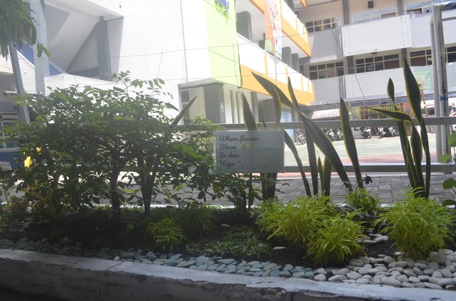 Penghijauan Sekolahku