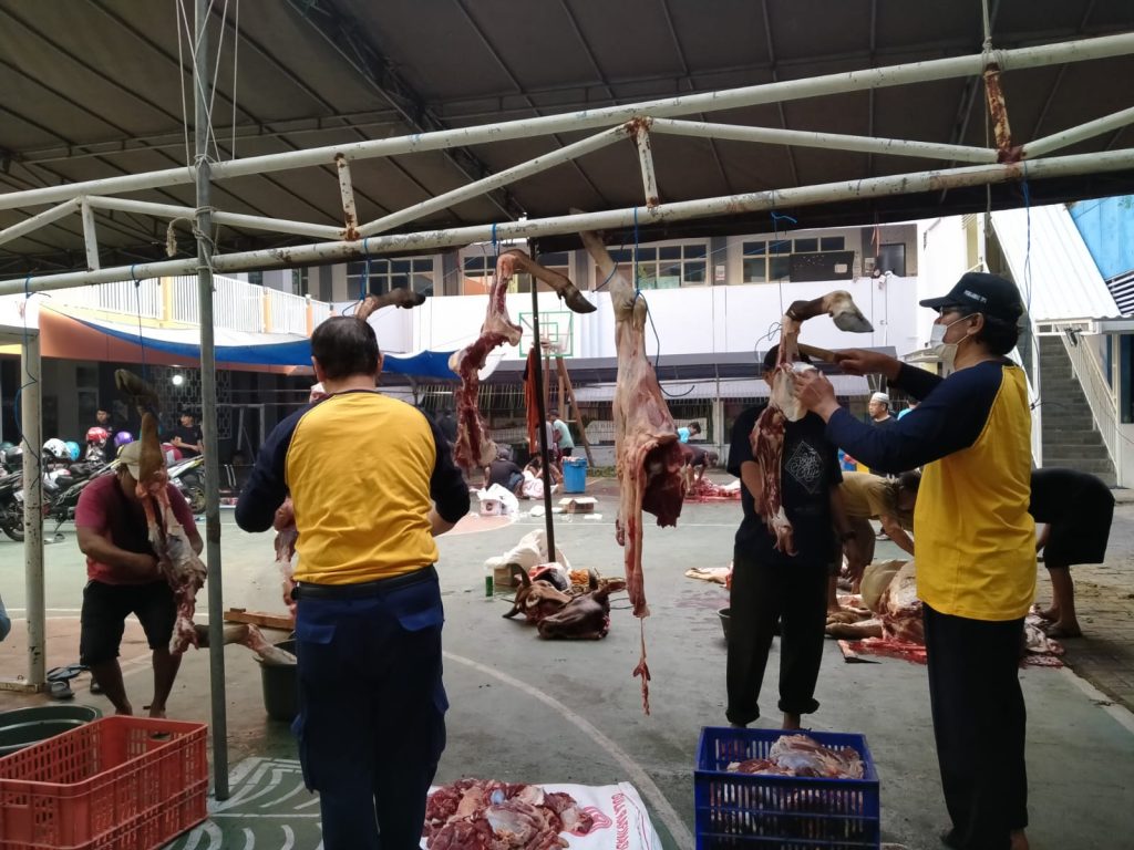 SD Muhammadiyah 6 Surabaya Kurban 2 Sapi dan 7 Kambing